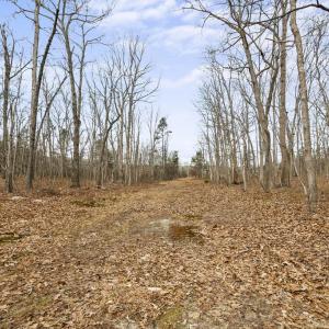 Photo #14 of 7389 LEEDS MANOR RD, MARSHALL, VA 101.0 acres