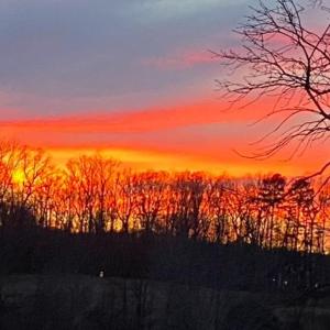 Photo #21 of 7389 LEEDS MANOR RD, MARSHALL, VA 101.0 acres