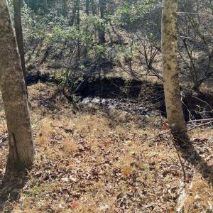 Lovell Rd 4 Creek
