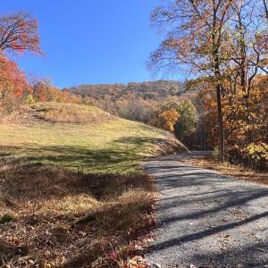 EF7B40B2-E6B8-4E8B-8F4F-ED8F0455D69D