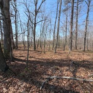Photo #2 of COUNTRYSIDE LANE - LOT 1, LIGNUM, VA 7.3 acres