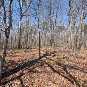 Photo #1 of COUNTRYSIDE LANE - LOT 1, LIGNUM, VA 7.3 acres