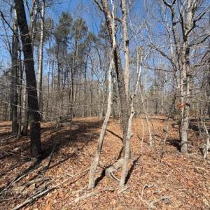 Photo #1 of COUNTRYSIDE LANE - LOT 2, LIGNUM, VA 7.3 acres