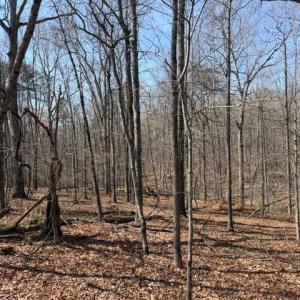 Photo #1 of COUNTRYSIDE LANE - LOT 4, LIGNUM, VA 10.2 acres