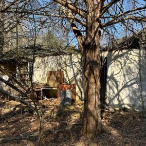 Photo #7 of 18491 CLAYHILL RD, STEVENSBURG, VA 13.0 acres