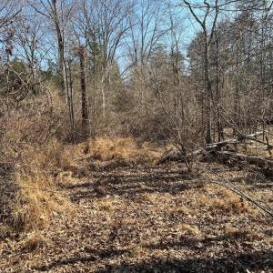 Photo #3 of 18491 CLAYHILL RD, STEVENSBURG, VA 13.0 acres