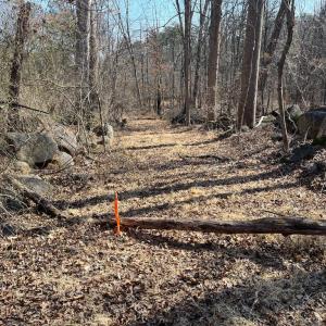 Photo #4 of 18491 CLAYHILL RD, STEVENSBURG, VA 13.0 acres