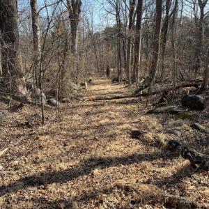 Photo #5 of 18491 CLAYHILL RD, STEVENSBURG, VA 13.0 acres