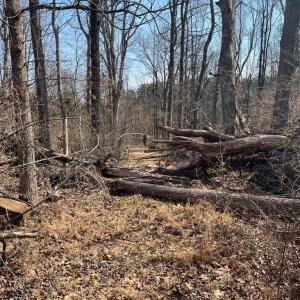 Photo #6 of 18491 CLAYHILL RD, STEVENSBURG, VA 13.0 acres