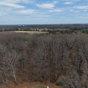 Photo #13 of 18491 CLAYHILL RD, STEVENSBURG, VA 13.0 acres