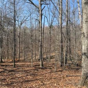 Photo #1 of COUNTRYSIDE LANE - LOT 3, LIGNUM, VA 7.5 acres