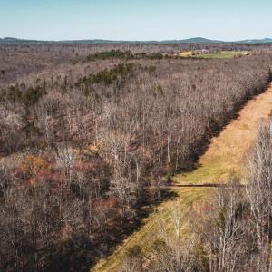 Photo #2 of COX MILL RD, GORDONSVILLE, VA 178.6 acres