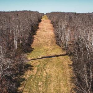 Photo #3 of COX MILL RD, GORDONSVILLE, VA 178.6 acres