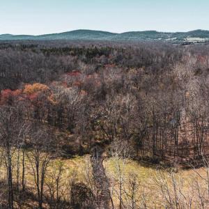 Photo #4 of COX MILL RD, GORDONSVILLE, VA 178.6 acres