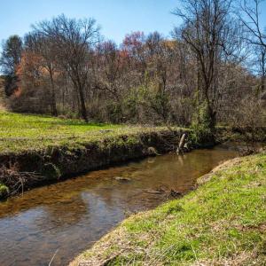 Photo #6 of COX MILL RD, GORDONSVILLE, VA 178.6 acres