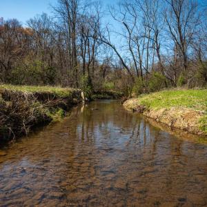 Photo #7 of COX MILL RD, GORDONSVILLE, VA 178.6 acres