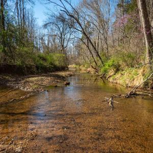 Photo #8 of COX MILL RD, GORDONSVILLE, VA 178.6 acres