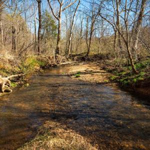 Photo #9 of COX MILL RD, GORDONSVILLE, VA 178.6 acres