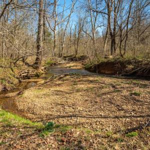 Photo #10 of COX MILL RD, GORDONSVILLE, VA 178.6 acres