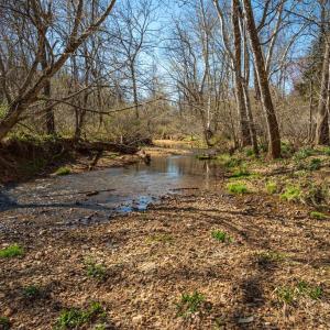 Photo #11 of COX MILL RD, GORDONSVILLE, VA 178.6 acres