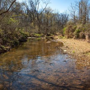 Photo #12 of COX MILL RD, GORDONSVILLE, VA 178.6 acres