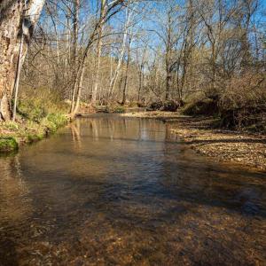Photo #13 of COX MILL RD, GORDONSVILLE, VA 178.6 acres