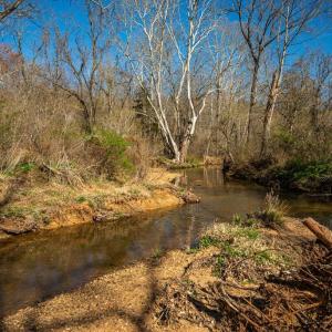 Photo #14 of COX MILL RD, GORDONSVILLE, VA 178.6 acres