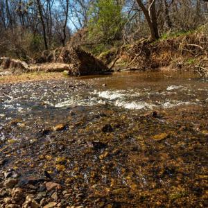 Photo #16 of COX MILL RD, GORDONSVILLE, VA 178.6 acres