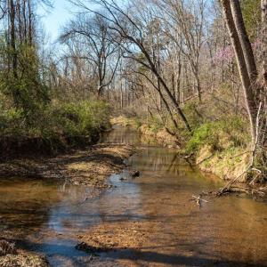 Photo #17 of COX MILL RD, GORDONSVILLE, VA 178.6 acres