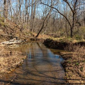 Photo #18 of COX MILL RD, GORDONSVILLE, VA 178.6 acres