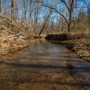 Photo #19 of COX MILL RD, GORDONSVILLE, VA 178.6 acres