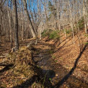 Photo #20 of COX MILL RD, GORDONSVILLE, VA 178.6 acres