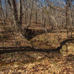 Photo #21 of COX MILL RD, GORDONSVILLE, VA 178.6 acres