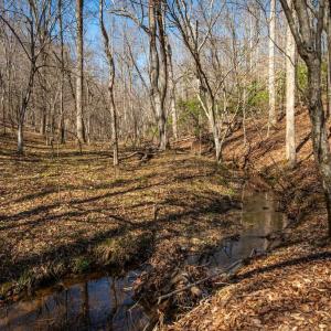 Photo #22 of COX MILL RD, GORDONSVILLE, VA 178.6 acres