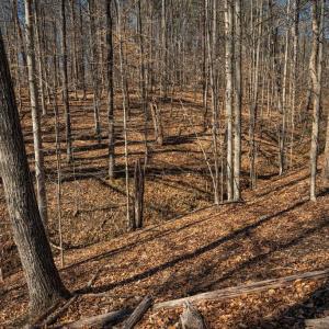 Photo #23 of COX MILL RD, GORDONSVILLE, VA 178.6 acres