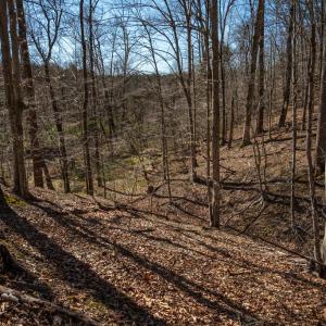 Photo #24 of COX MILL RD, GORDONSVILLE, VA 178.6 acres