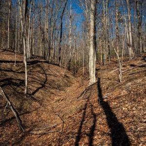 Photo #25 of COX MILL RD, GORDONSVILLE, VA 178.6 acres