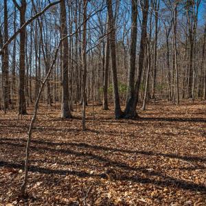 Photo #31 of COX MILL RD, GORDONSVILLE, VA 178.6 acres