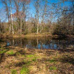 Photo #32 of COX MILL RD, GORDONSVILLE, VA 178.6 acres