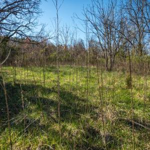 Photo #33 of COX MILL RD, GORDONSVILLE, VA 178.6 acres