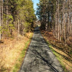 Photo #34 of COX MILL RD, GORDONSVILLE, VA 178.6 acres