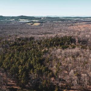 Photo #38 of COX MILL RD, GORDONSVILLE, VA 178.6 acres