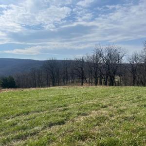 Photo #5 of 2065 LEEDS MANOR RD, DELAPLANE, VA 187.4 acres