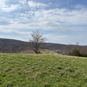 Photo #9 of 2065 LEEDS MANOR RD, DELAPLANE, VA 187.4 acres