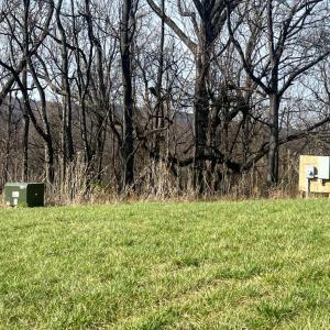 Photo #4 of 2065 LEEDS MANOR RD, DELAPLANE, VA 187.4 acres