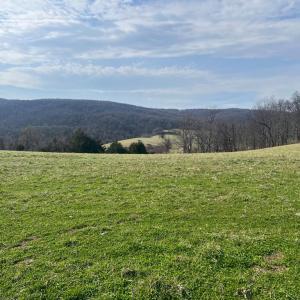 Photo #7 of 2065 LEEDS MANOR RD, DELAPLANE, VA 187.4 acres