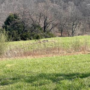 Photo #12 of 2065 LEEDS MANOR RD, DELAPLANE, VA 187.4 acres