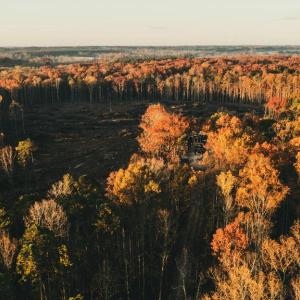 Photo #4 of 12600 CATHARPIN RD, SPOTSYLVANIA, VA 312.0 acres