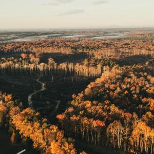 Photo #5 of 12600 CATHARPIN RD, SPOTSYLVANIA, VA 312.0 acres