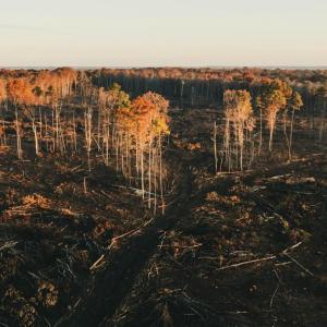 Photo #1 of 12600 CATHARPIN RD, SPOTSYLVANIA, VA 312.0 acres